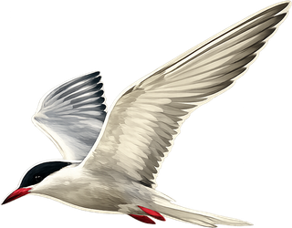 Agulhas Ocean House logo