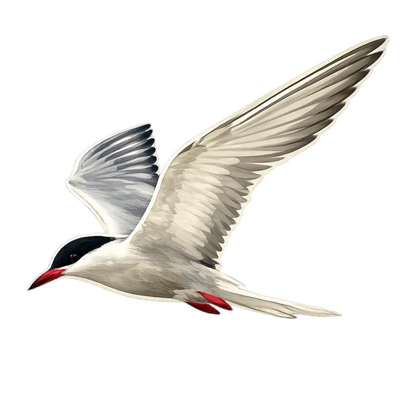 Agulhas Ocean House logo